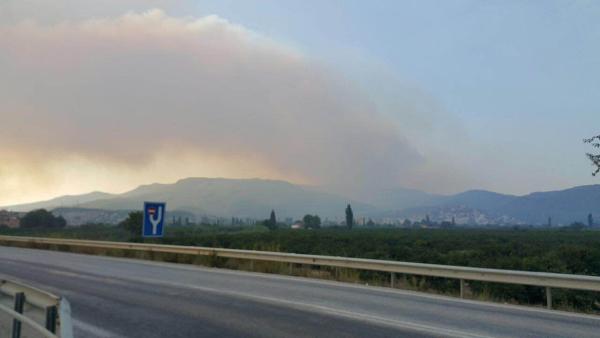 İzmir'de yangın kabusu