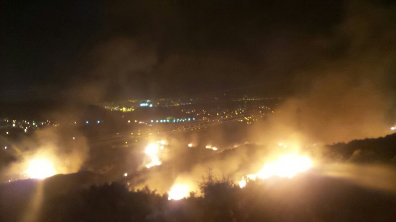 İzmir'de büyük orman yangını