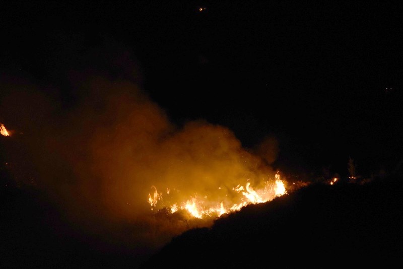 İzmir'de büyük orman yangını