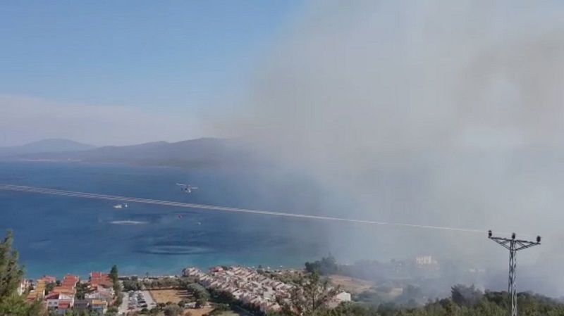 İzmir'de orman yangını