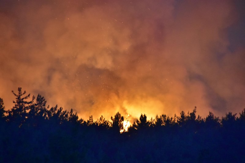 İzmir'deki yangından korkunç manzaralar