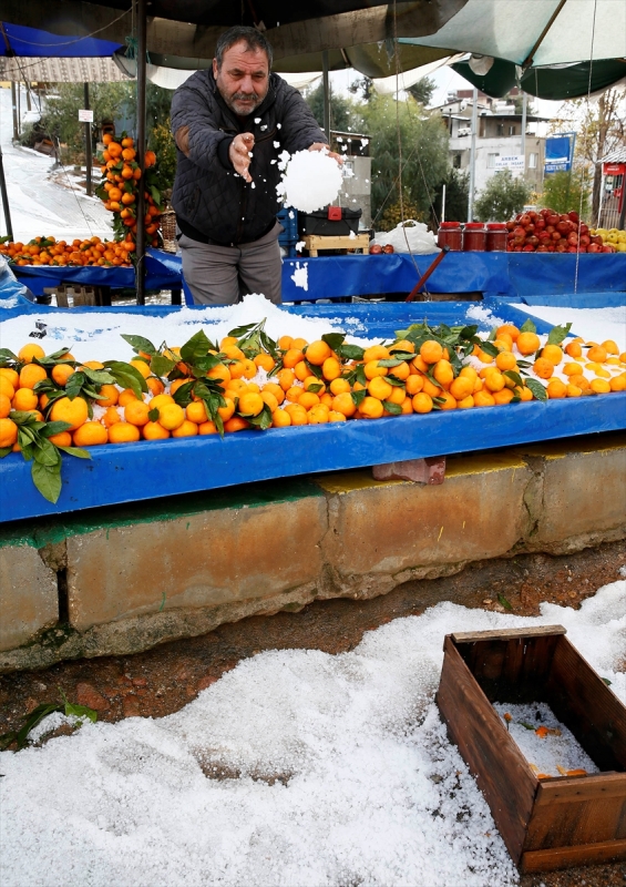 İzmir'de dolu mandalina bahçelerine zarar verdi