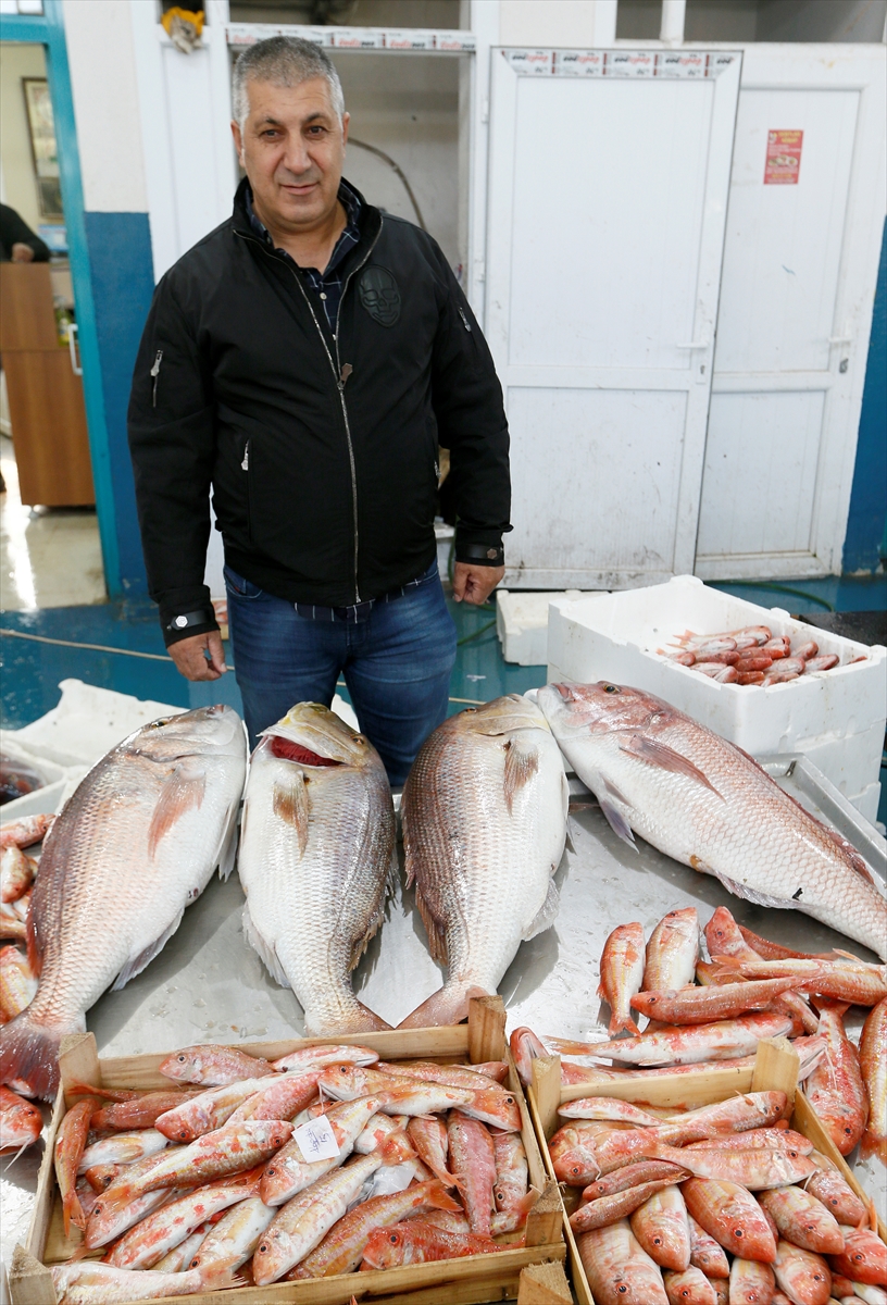 Egeli balıkçılar 'altın' sezonunu yaşadı