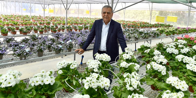 Bayındırlı çiçek üreticileri Hollanda'ya ihracata başladı