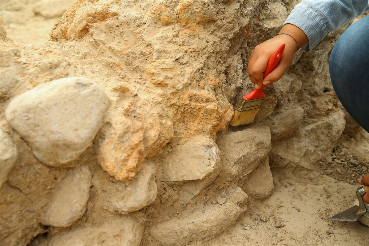 8 bin yıllık çipura kalıntısı bulundu!