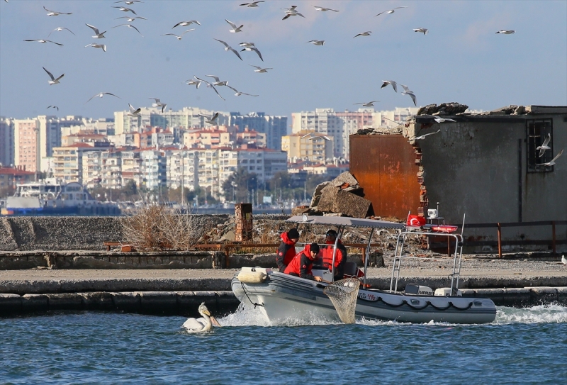 İzmir'de pelikan operasyonu