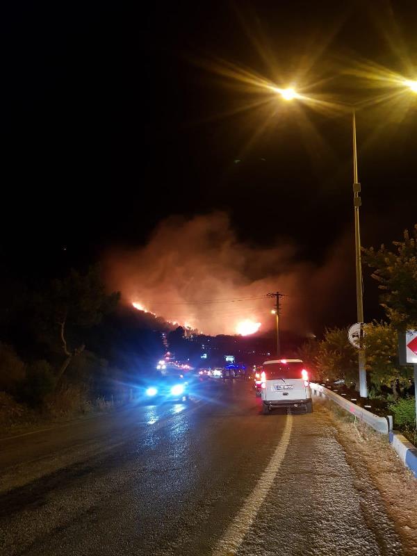 İzmir'in ciğerleri yandı; Dikili ve Özdere'de korkutan yangınlar