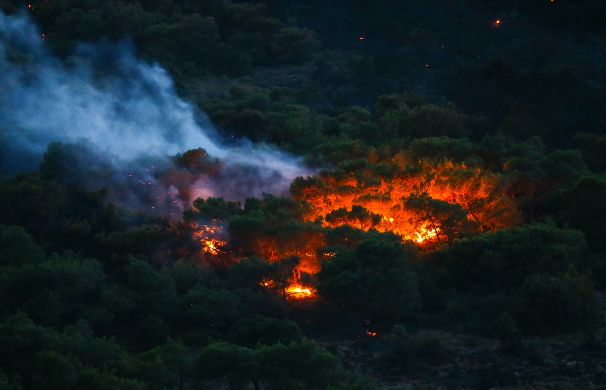 İzmir'in ciğerleri yandı; Dikili ve Özdere'de korkutan yangınlar