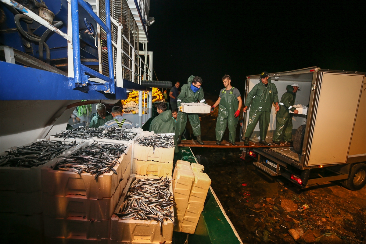 İzmir'de balık avı sezonu heyecanı