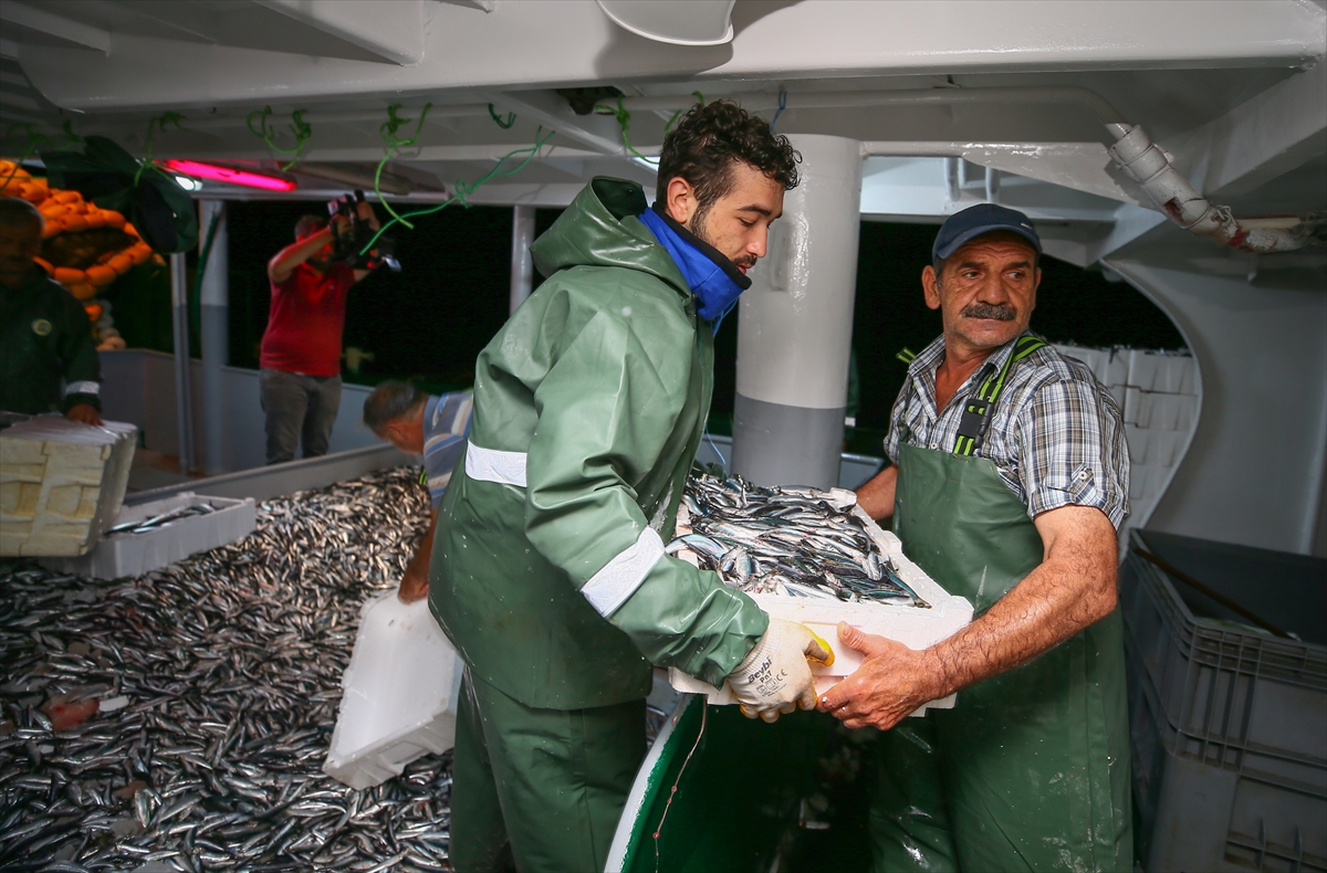 İzmir'de balık avı sezonu heyecanı