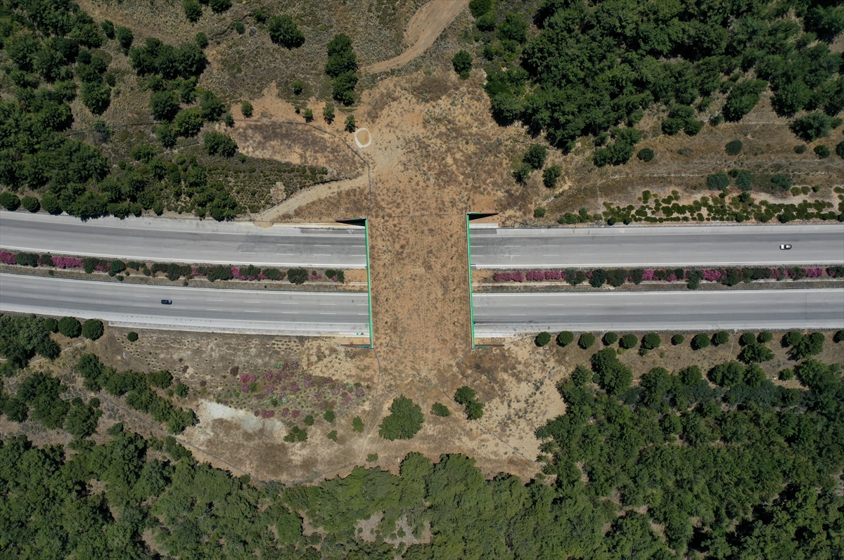 İzmir-Çeşme Otoyolu üzerindeki ekolojik köprünün yapımı tamamlandı