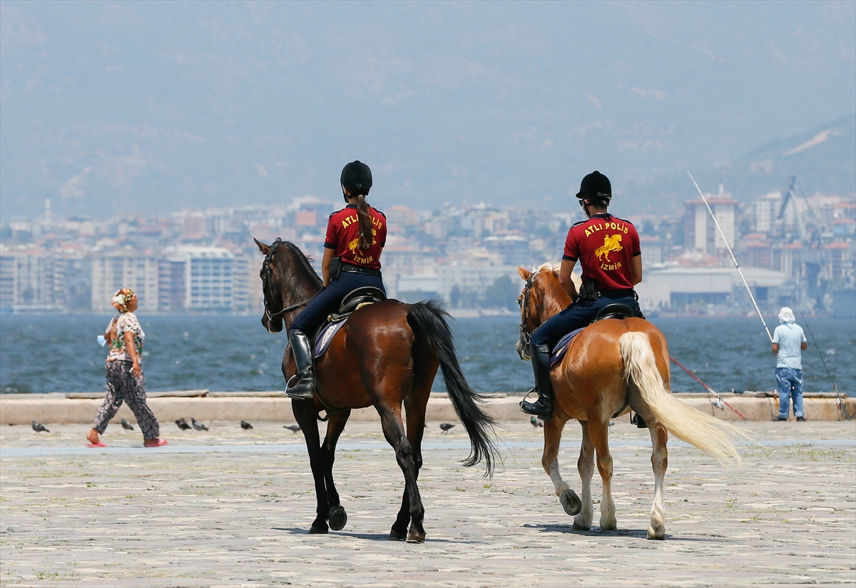 İzmir'in fayton atları polis oldu!