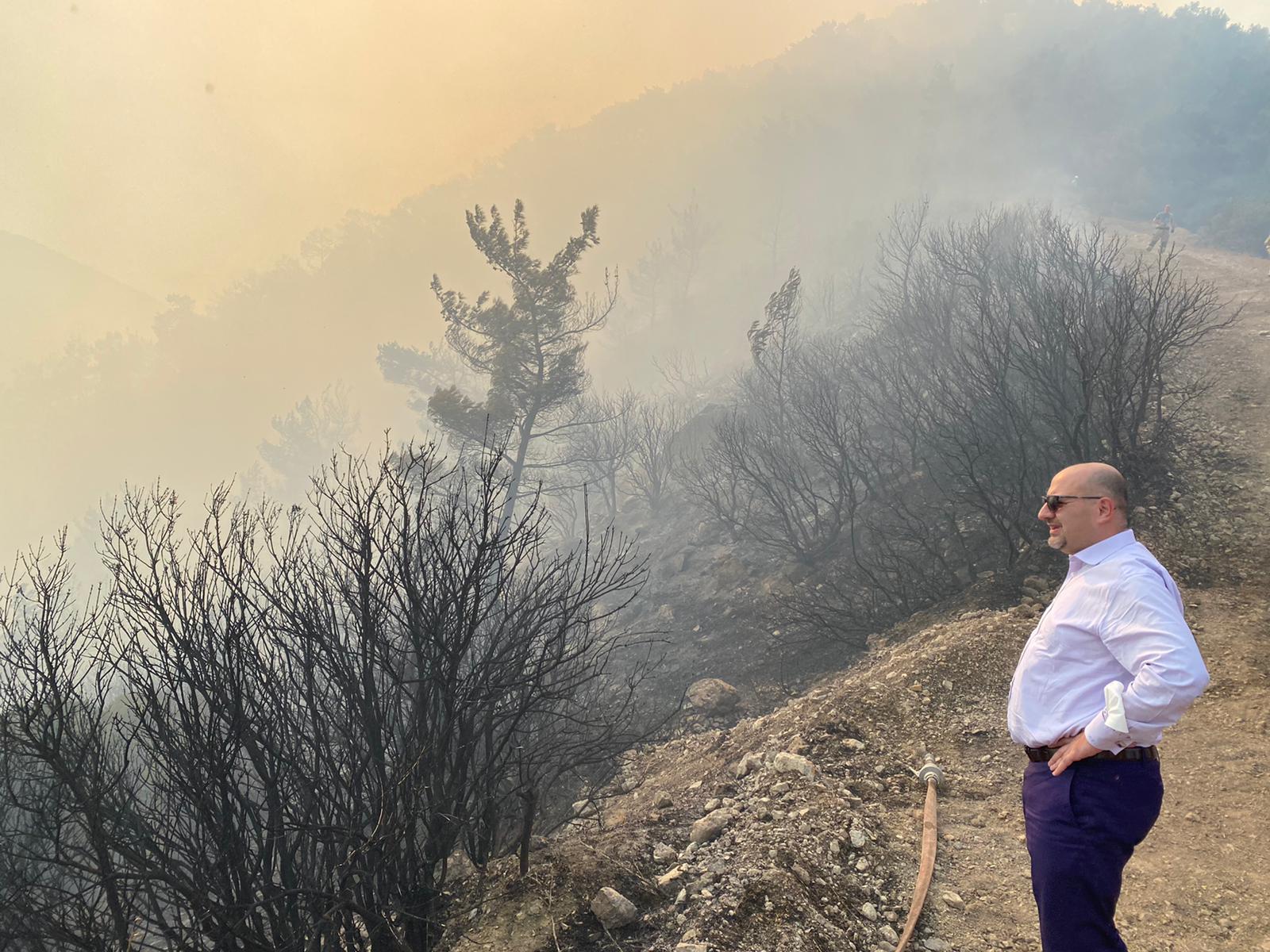 Balçova'da orman yangını
