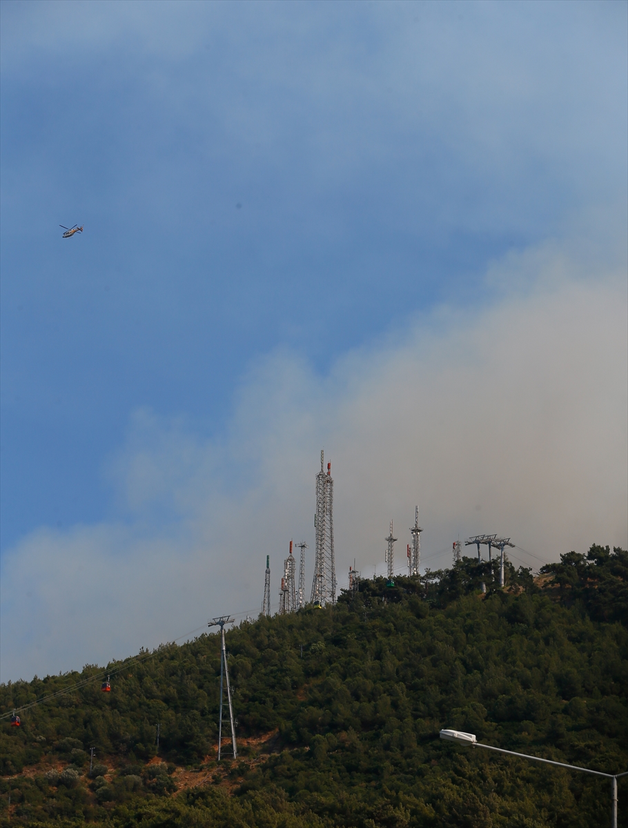 Balçova'da orman yangını