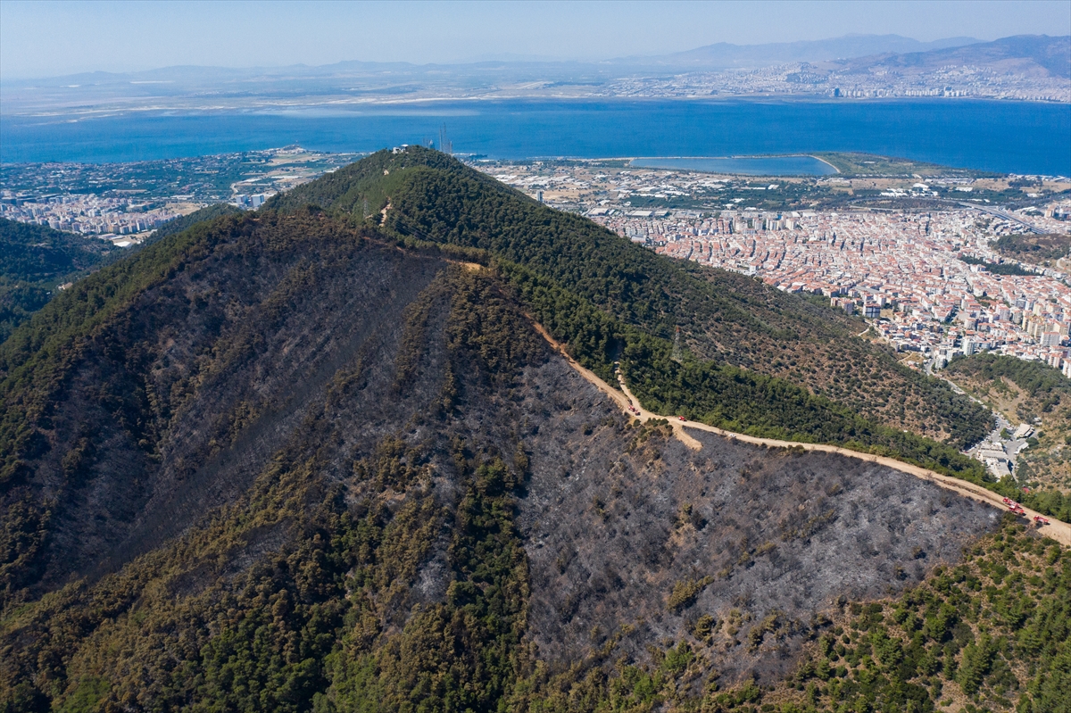 İzmir'de dün yanan orman alanı havadan görüntülendi