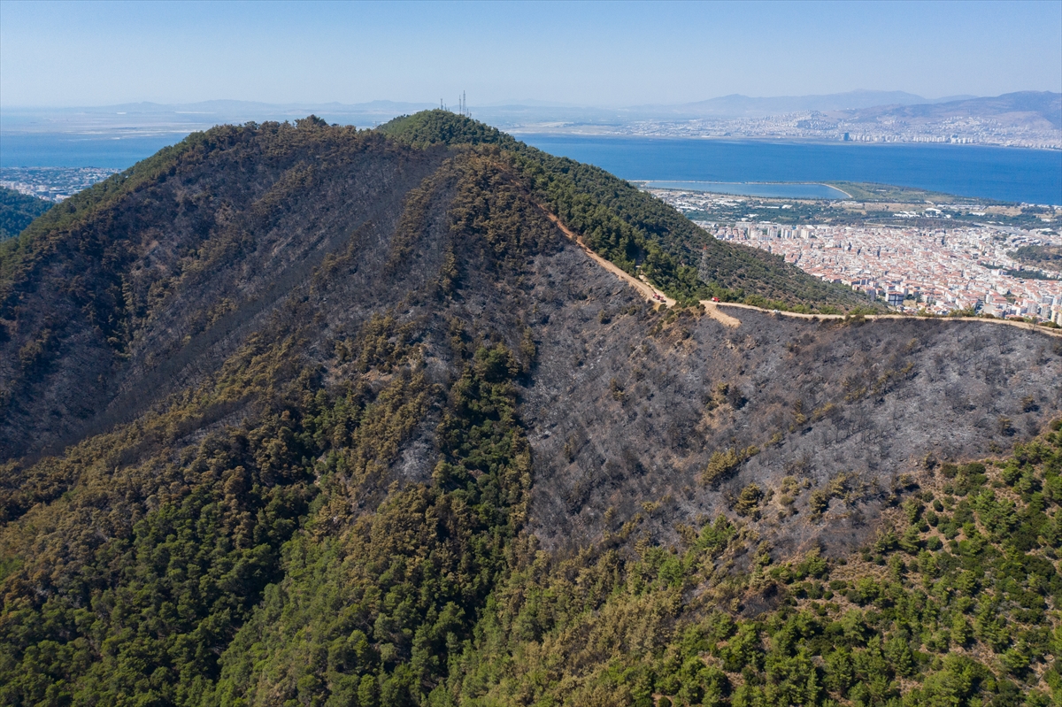 İzmir'de dün yanan orman alanı havadan görüntülendi
