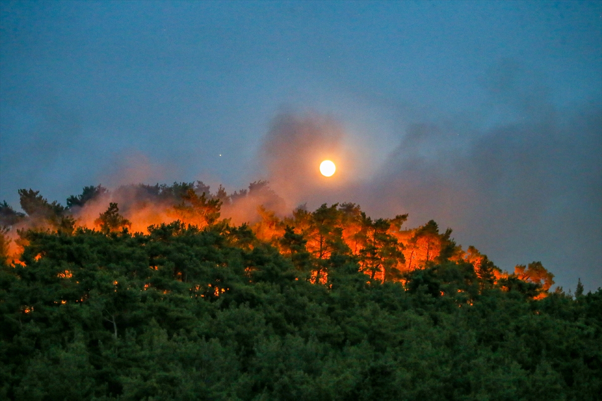 Menderes'te orman yangını!