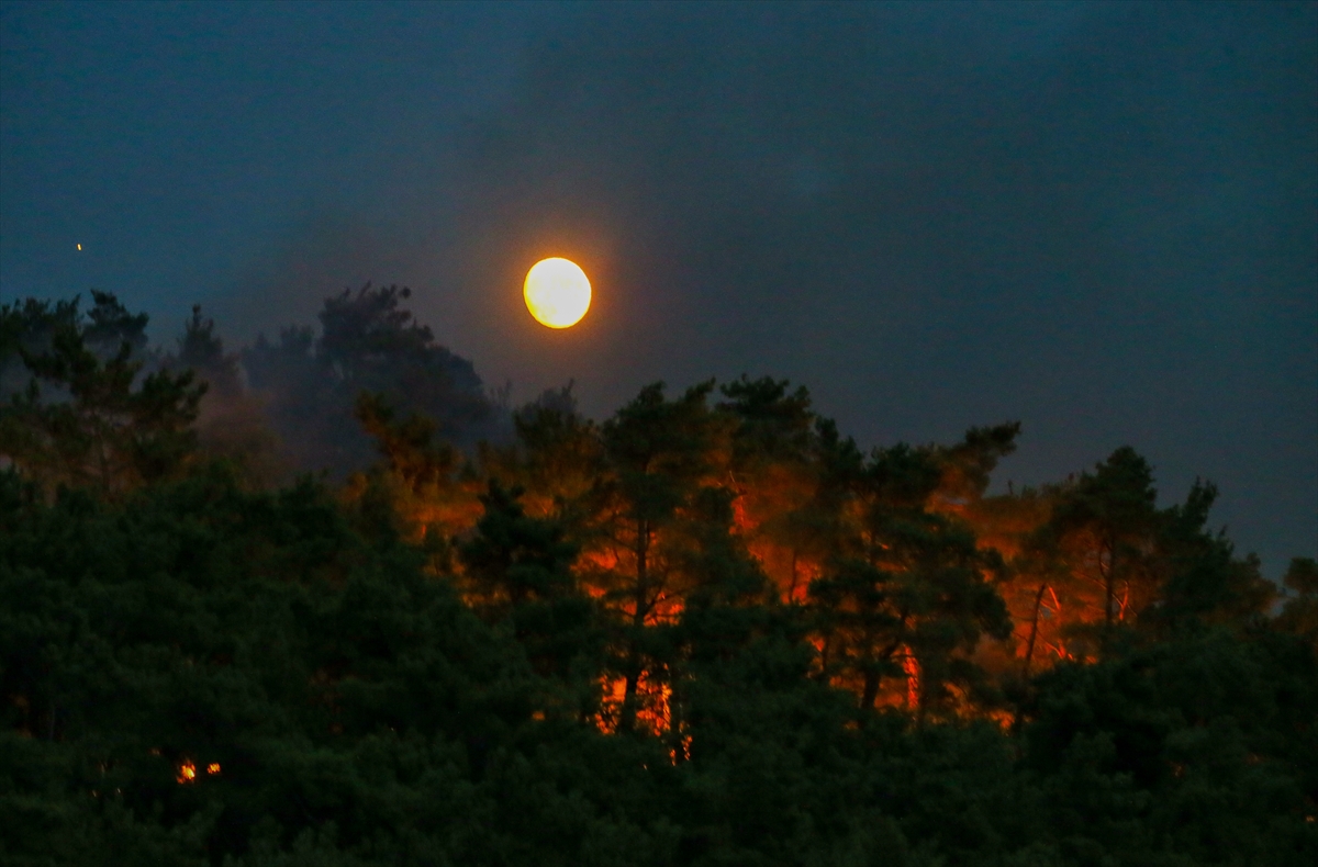 Menderes'te orman yangını!