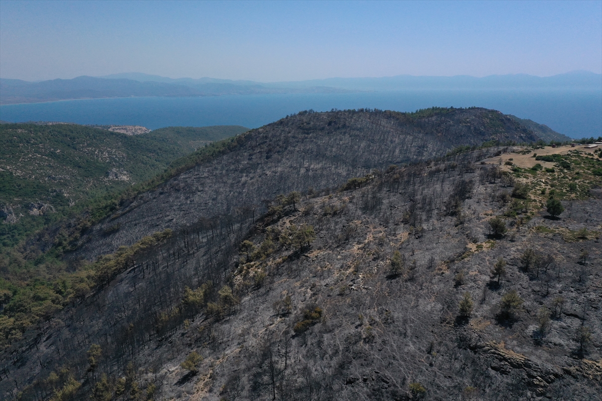 Menderes'teki yangının tahribatı görüntülendi