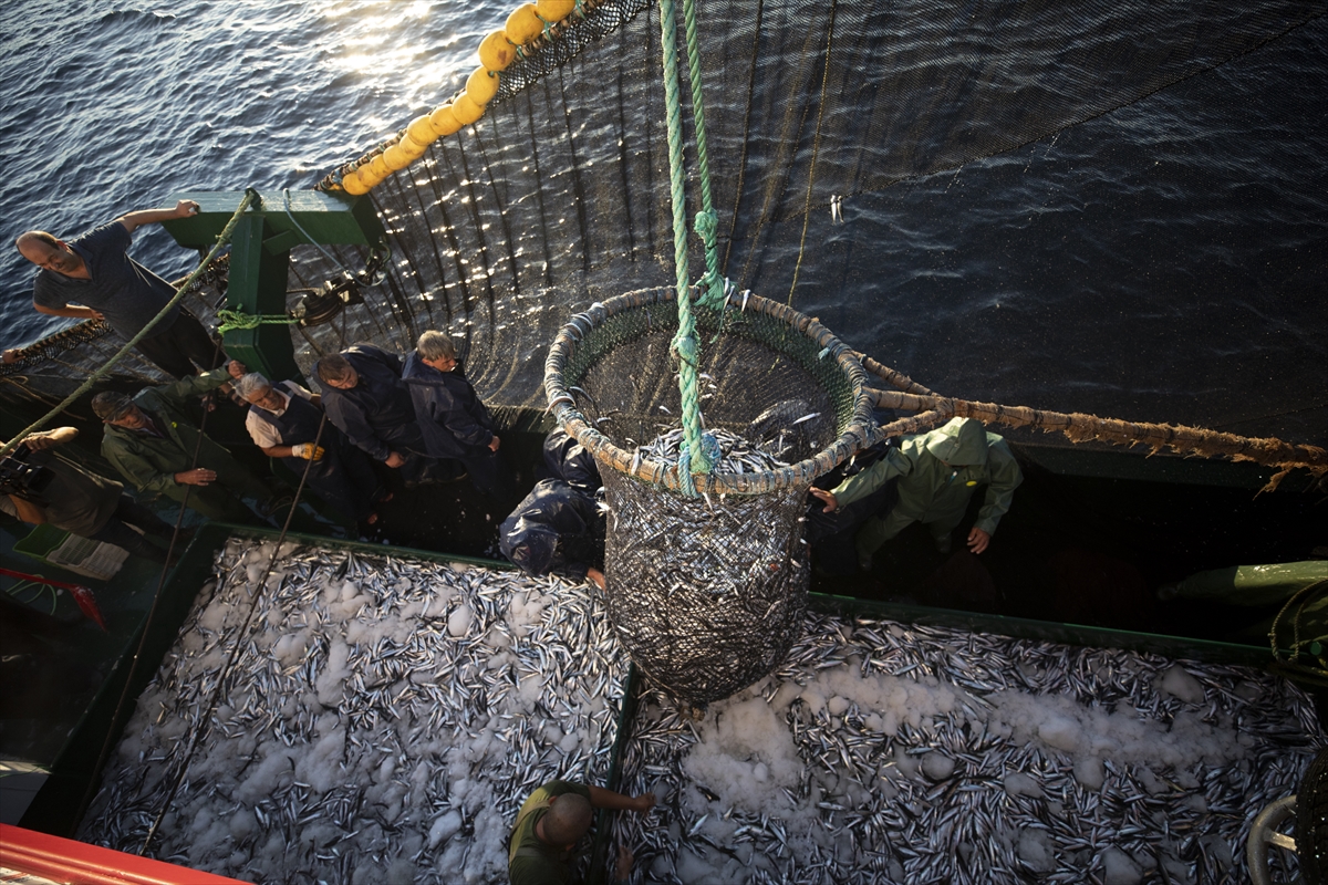 Balıkçıların ilk av günü 'bereketli' geçti
