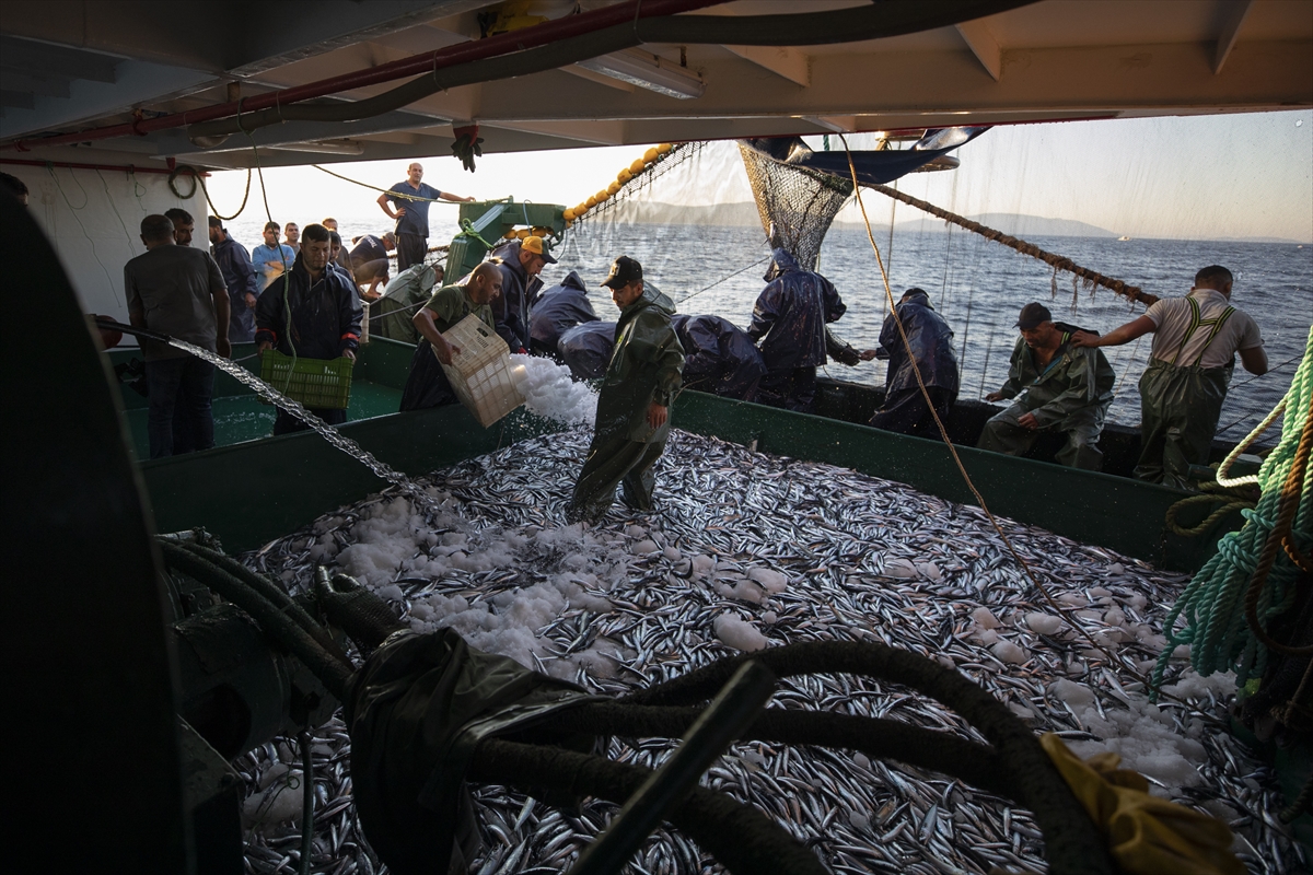 Balıkçıların ilk av günü 'bereketli' geçti