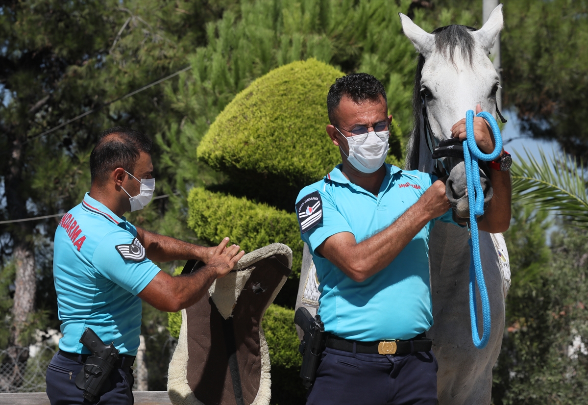 İzmir'de plajların güvenliği atlı jandarmaya emanet!