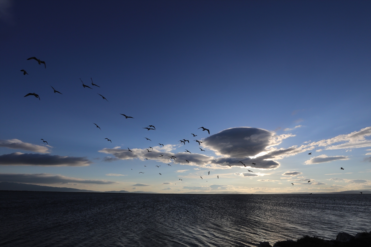 Yüzlerce kuş türünün yaşam alanı: UNESCO adayı Gediz Deltası