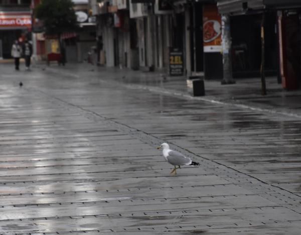 İzmir, yeni yılın ilk gününde sessiz!