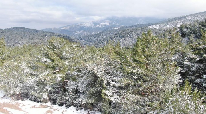 İzmir'in dağlarında kar manzaraları