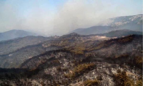 İzmir'deki yangından korkunç manzaralar