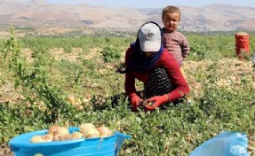 Mevsimlik tarım işçilerinin çalışma koşullarının iyileştirilmesine yönelik düzenleme