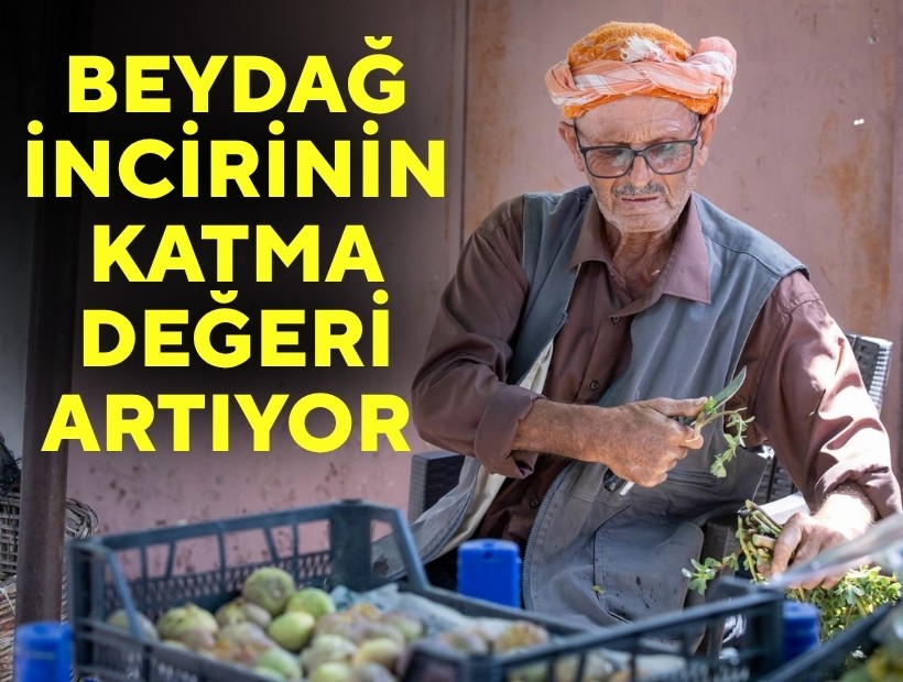 Beydağ incirinin katma değeri artıyor