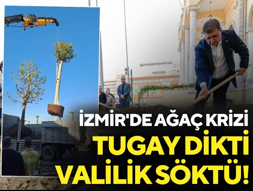 İzmir'de ağaç krizi: Cemil Tugay dikti Valilik söktü