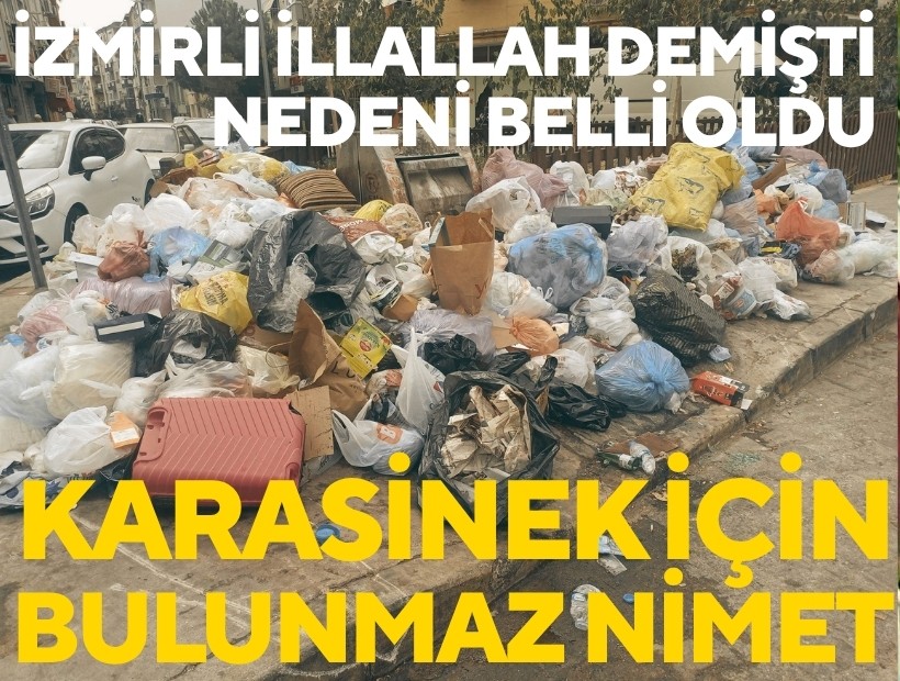 İzmir'de karasinek sıkıntısının nedeni biriken çöpler!