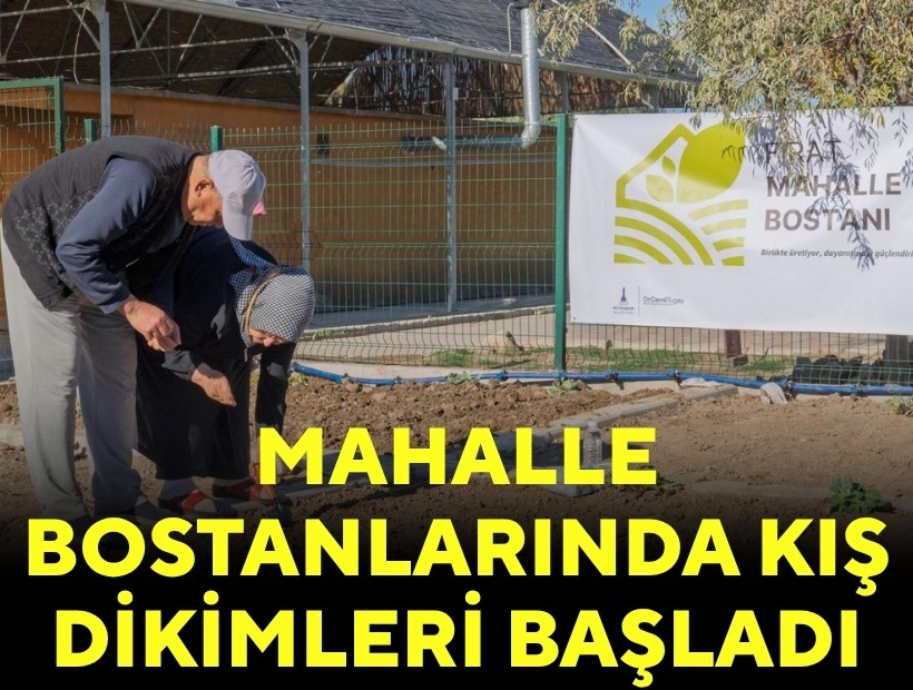 Mahalle bostanlarında kış dikimleri başladı