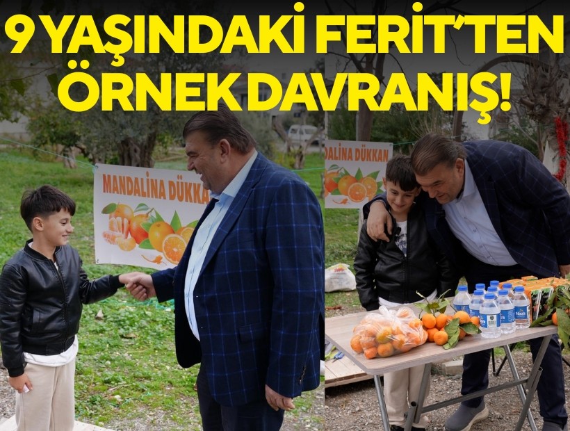 Ferit’in mandalina standı dolup taşıyor