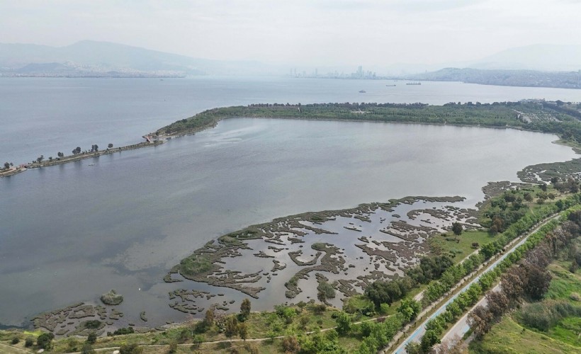 İzmir Körfezi'nden umutlandıran ölçümler