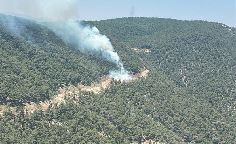Manisa'daki orman yangını 4 saatte söndürüldü