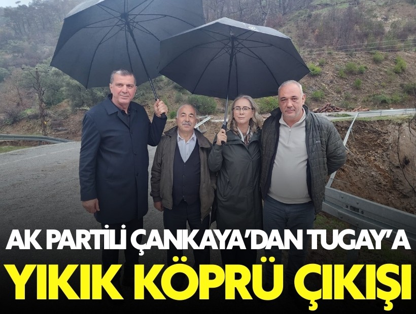 AK Partili Çankaya'dan köprü eleştirisi: Kastamonu'da üç günde kuruldu