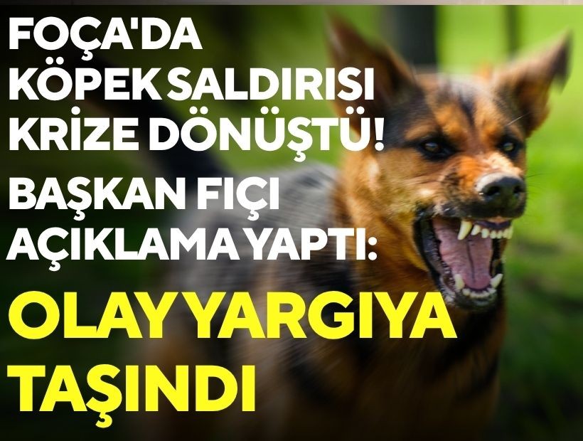 Foça'da köpek saldırısı krize dönüştü! Başkan Fıçı açıklama yaptı