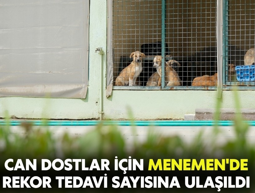 Can dostlar için Menemen'de rekor tedavi sayısına ulaşıldı