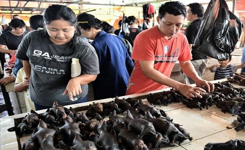 Çin'de salgın durdu, vahşi hayvan pazarları yeniden açıldı