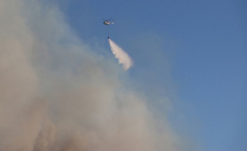 İzmir'deki yangını söndürme çalışmaları sürüyor!  Yangına havadan müdahale başladı