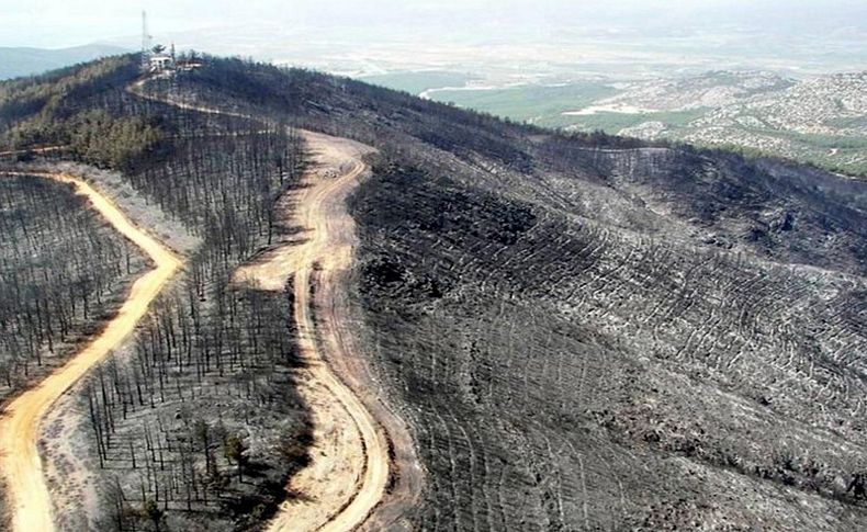 30 yılda 45 bin hektar orman yandı, 3 katı alan ağaçlandırıldı
