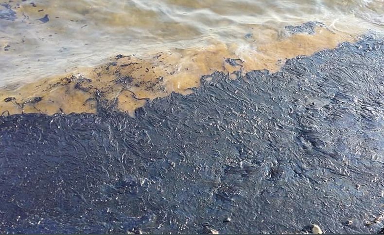 Aliağa ve Foça sahillerinde ham petrol kirliliği