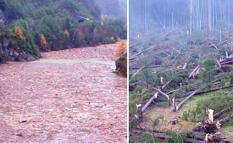 Avrupa'da facia 14 milyon ağaç devrildi 20 kişi öldü