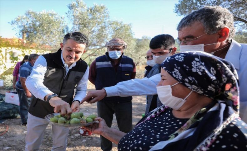 Bakan Pakdemirli kadın çiftçilerle zeytin hasadına katıldı