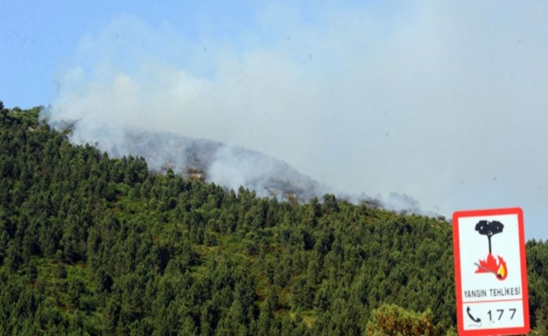 Bakan Eroğlu: Orman yangınlarının yüzde 90'ı insan kaynaklı, dikkatli olalım