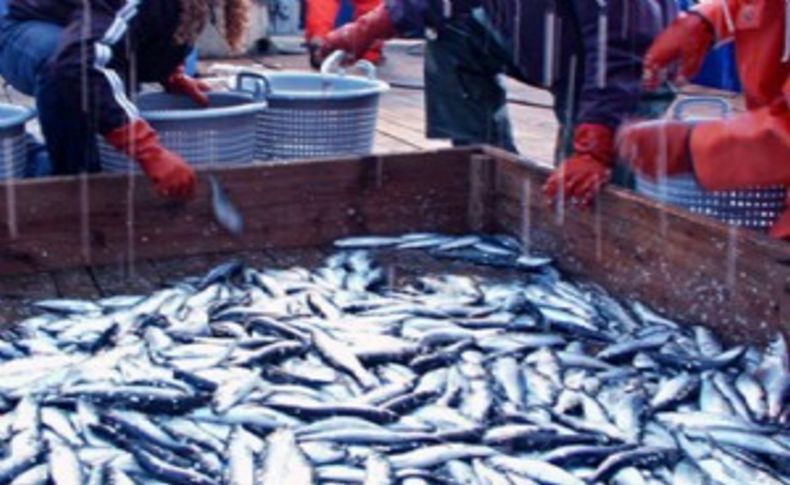 İzmir'de balıkçılığa kadın eli