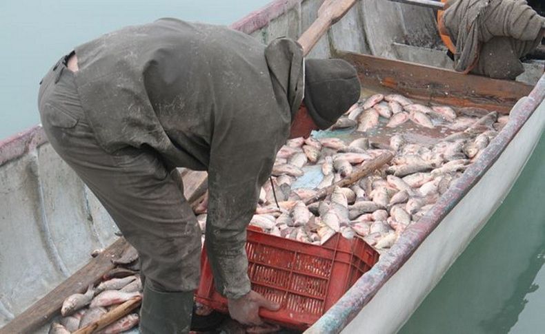 Balıkçıların yeni umudu: Kilosu 1 lira